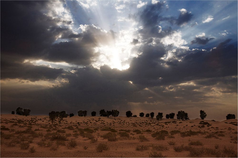 Desert-sky