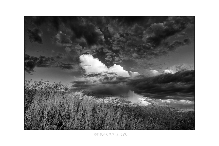 Desert Sky and Grass 2