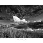 Desert Sky and Grass 2