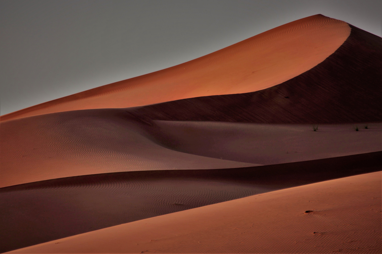 Desert stories  - dunes landscape