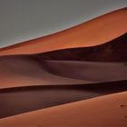 Desert stories  - dunes landscape