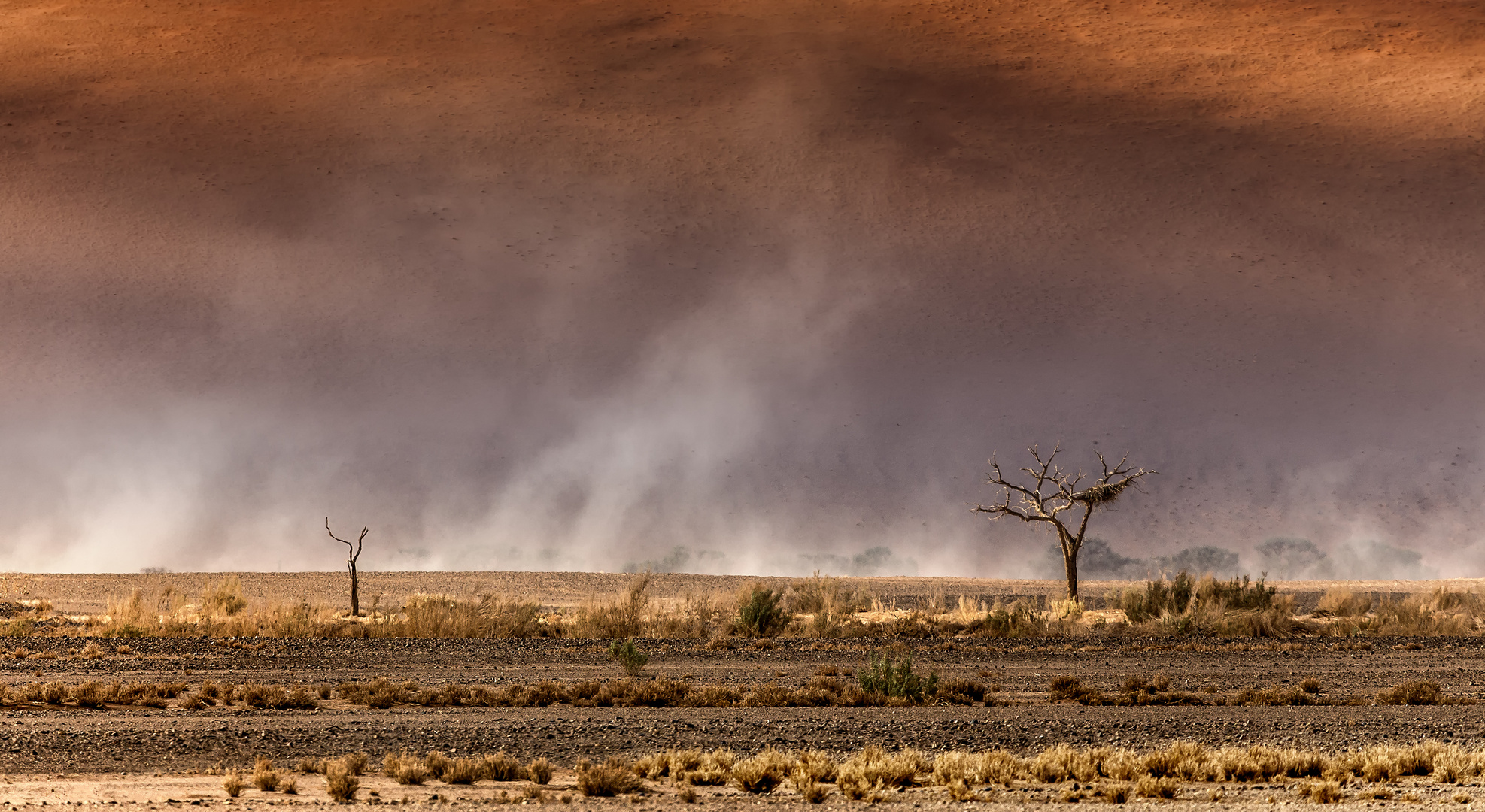 desert-storm-photo-image-landscape-deserts-fotos-images-at-photo