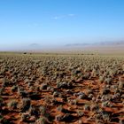 Desert Storm in Klein Aus