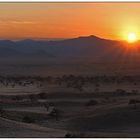 Desert Sunrise