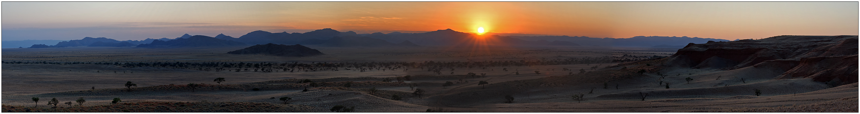 Desert Sunrise