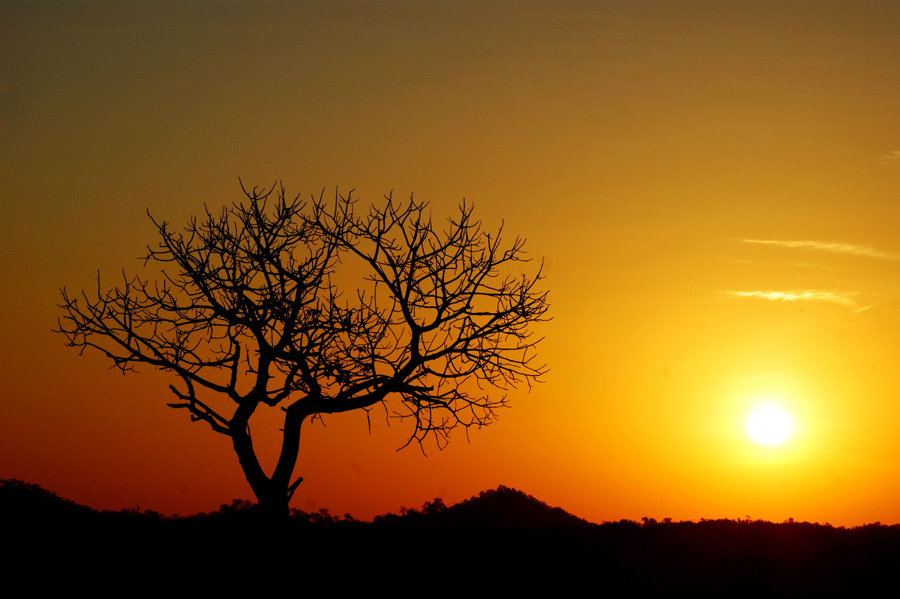 Desert sunset