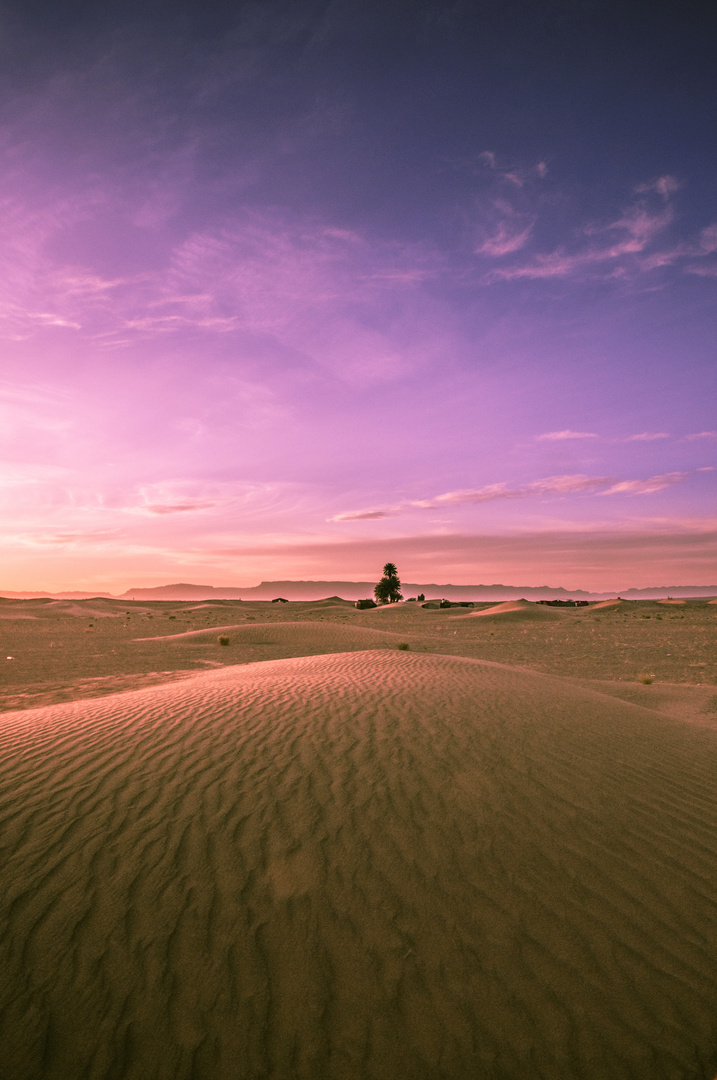 Desert Sunset