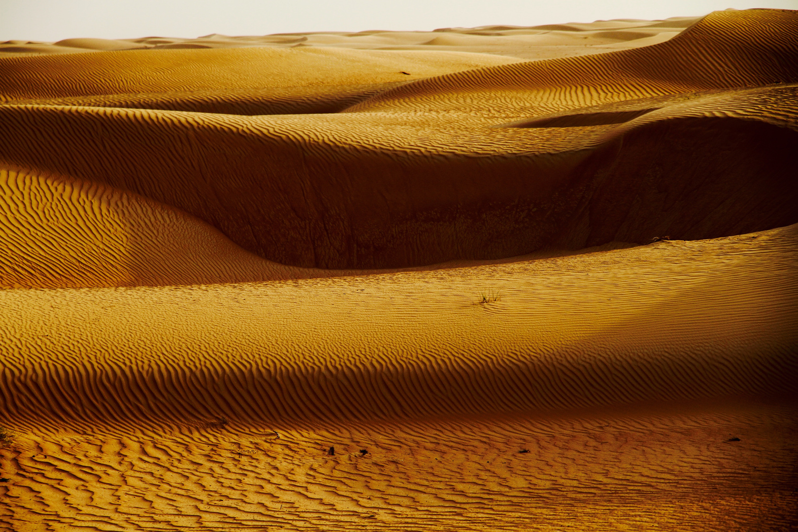 Desert Sunset