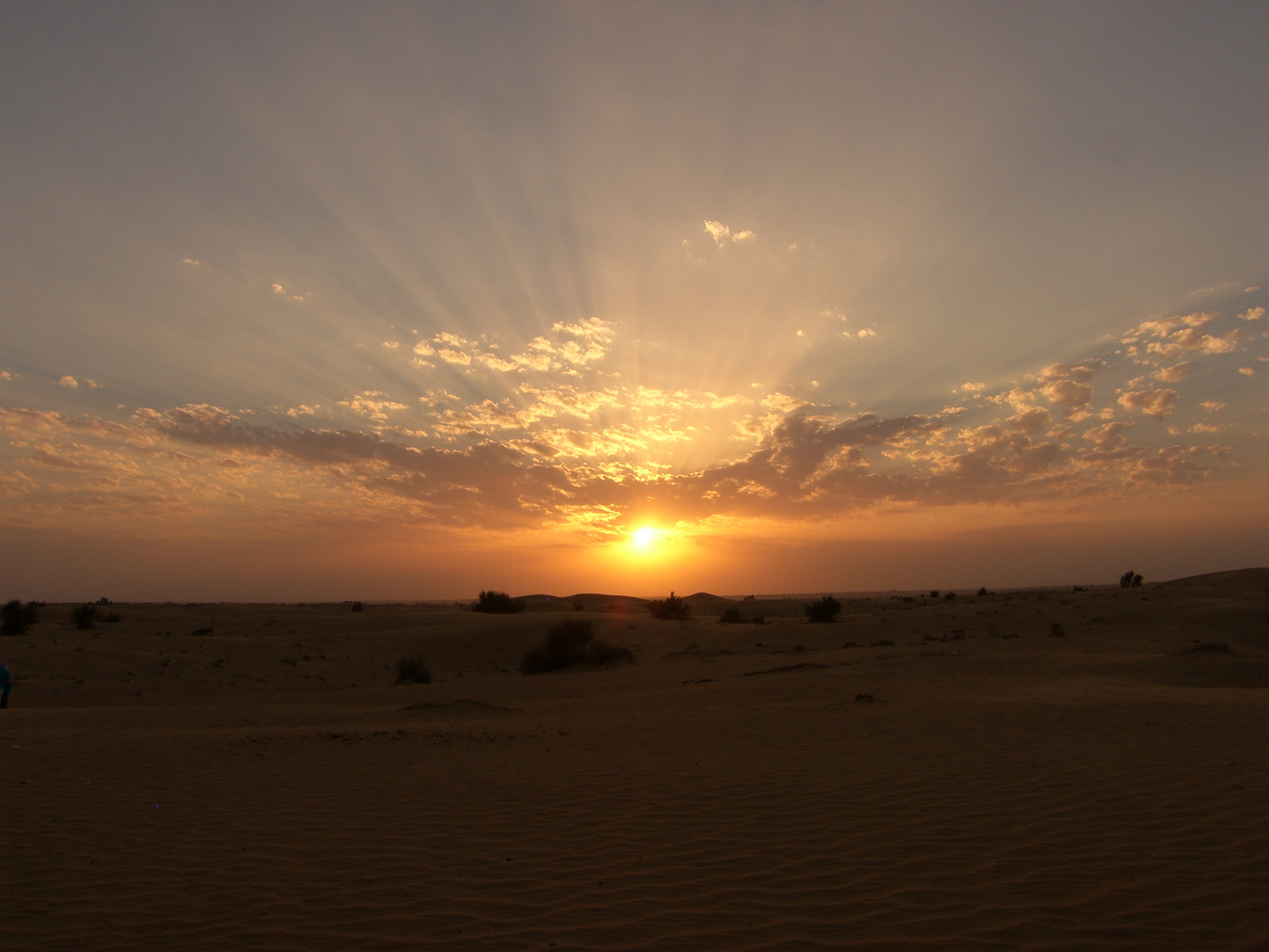 Desert sunset