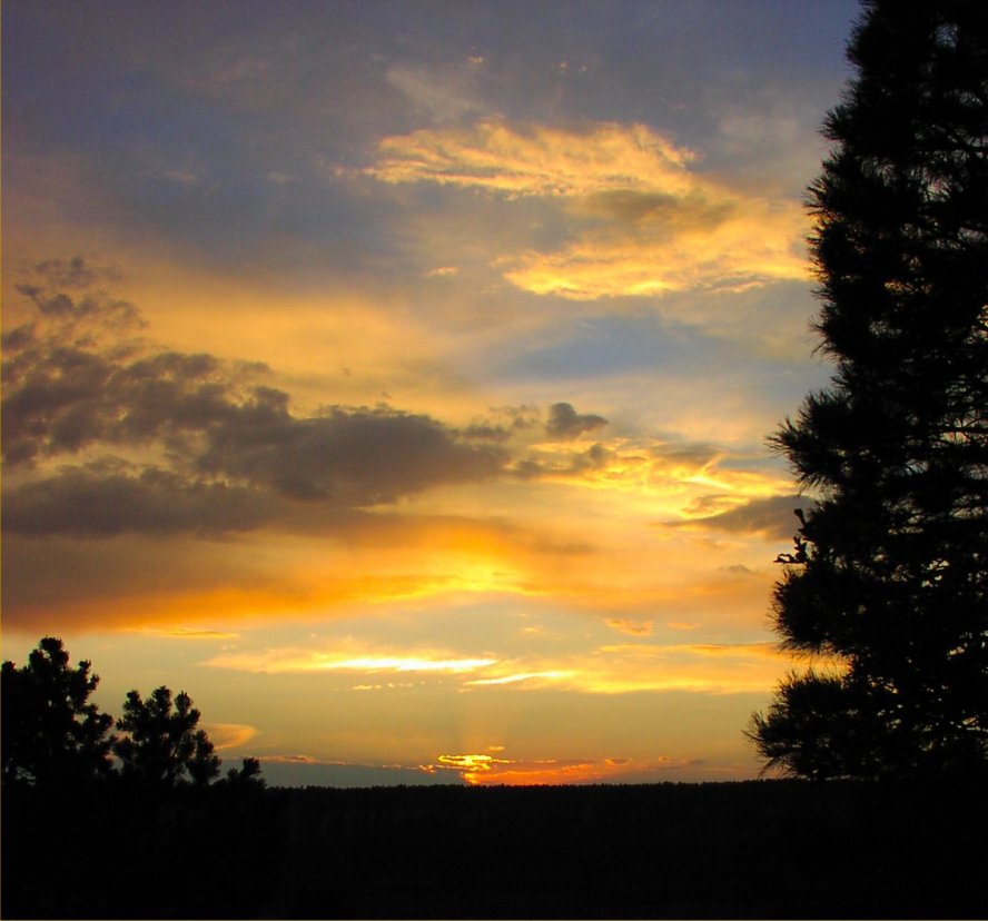 Desert Sunset