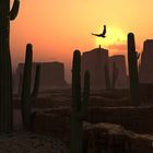 Desert Sunset