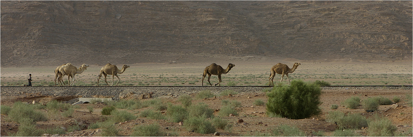 Desert Train