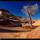 ..:: DESERT TREE ::..