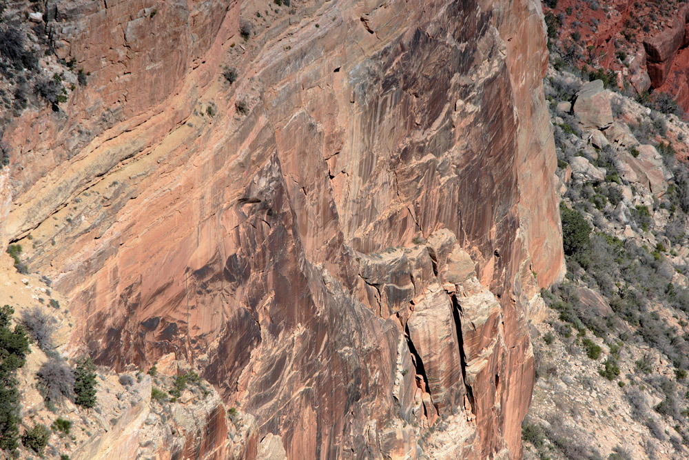 Desert Varnish...Grand Canyon