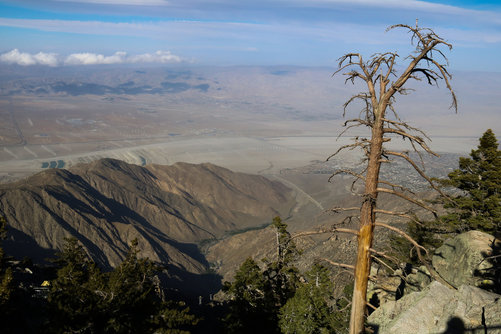 Desert view