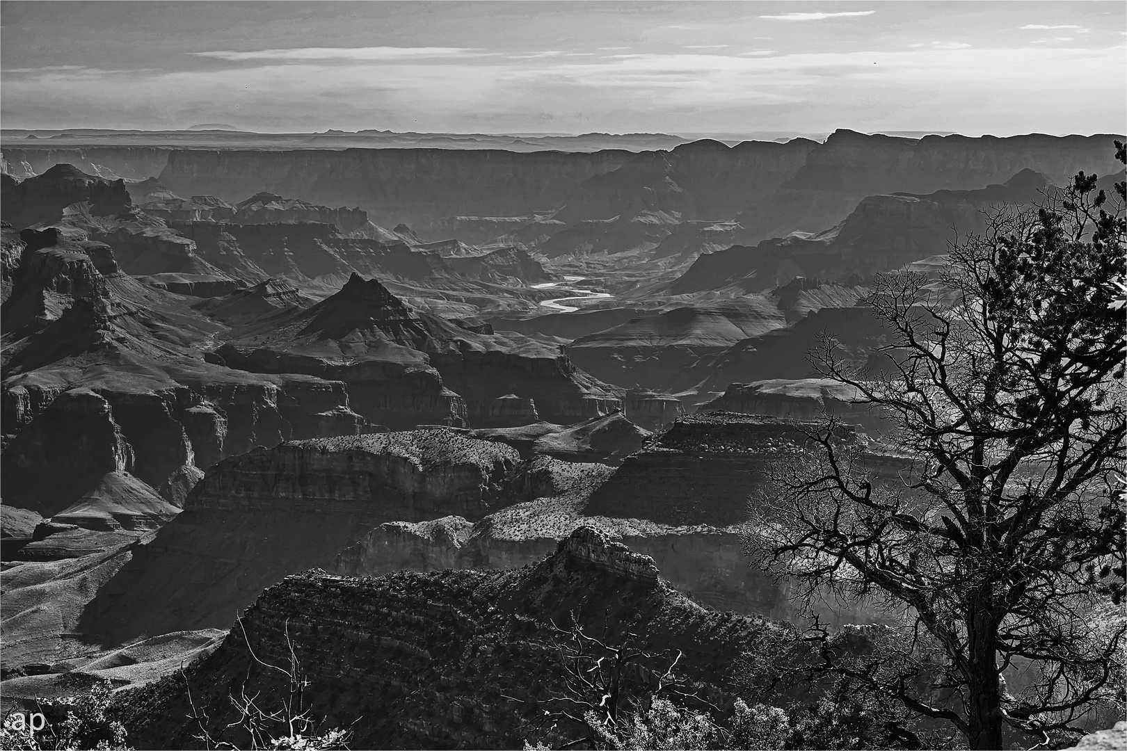 Desert View