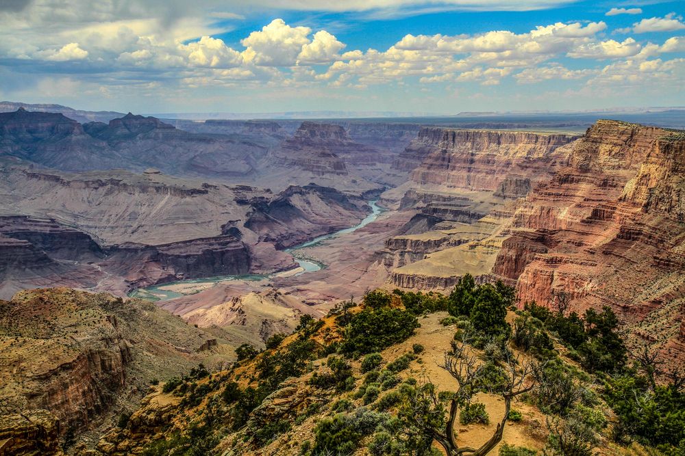 Desert View Point