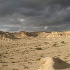 Desert Wadi in Winter