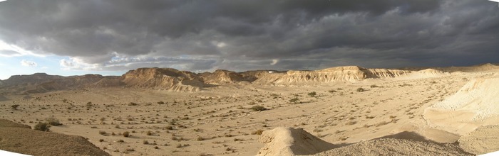 Desert Wadi in Winter