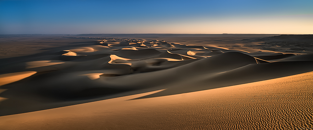 DESERT WHISPERS