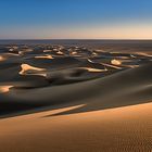 DESERT WHISPERS