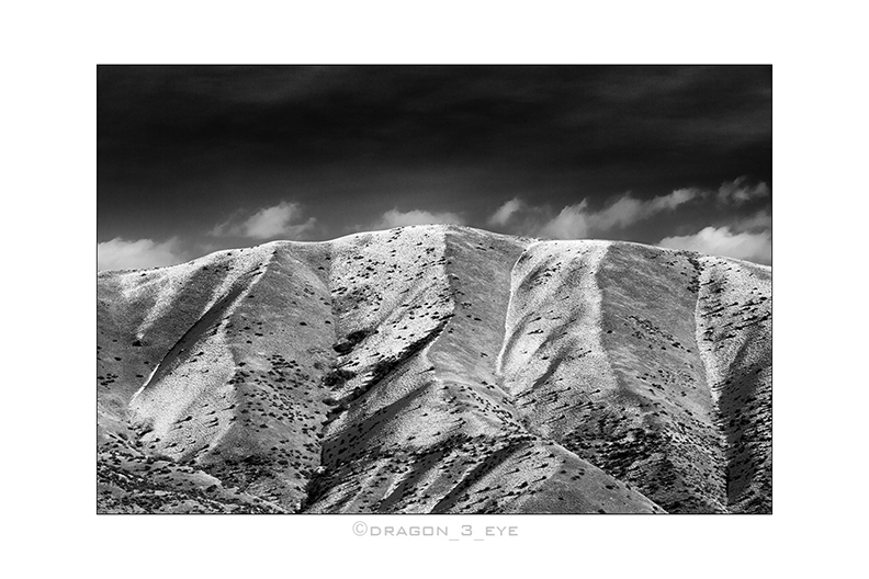 Desert Winter Texture 