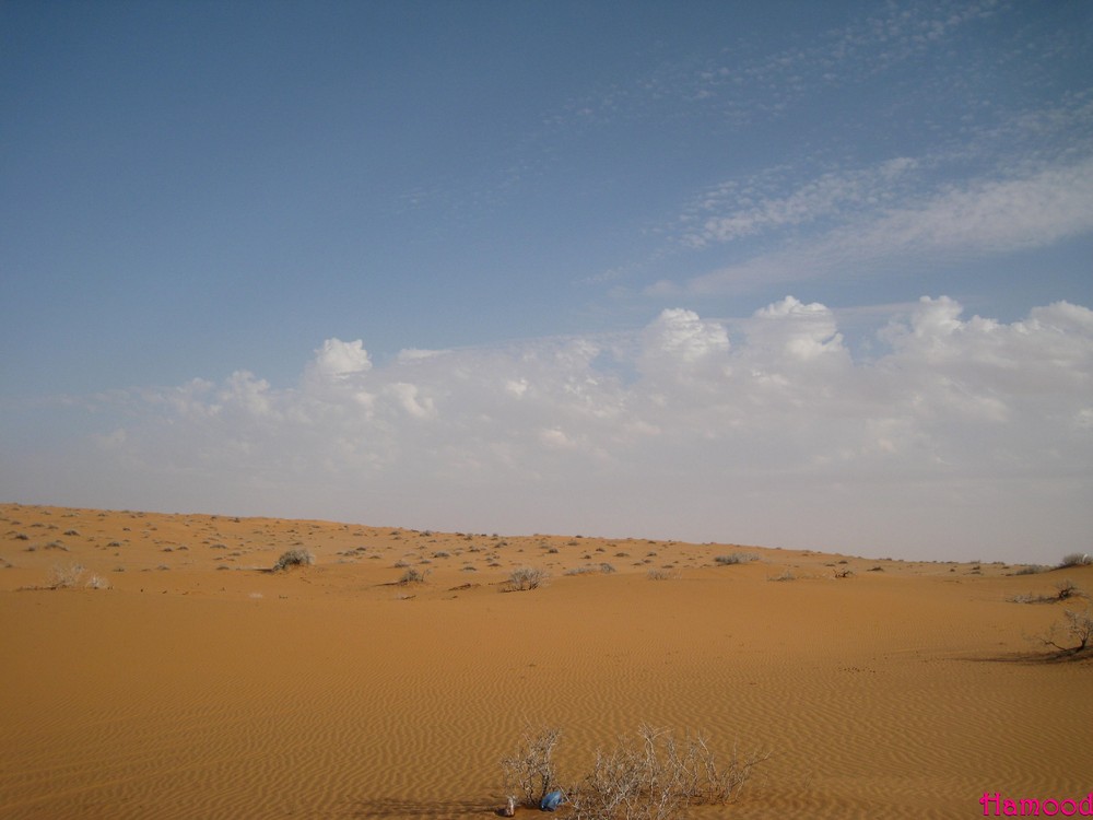 Desert2