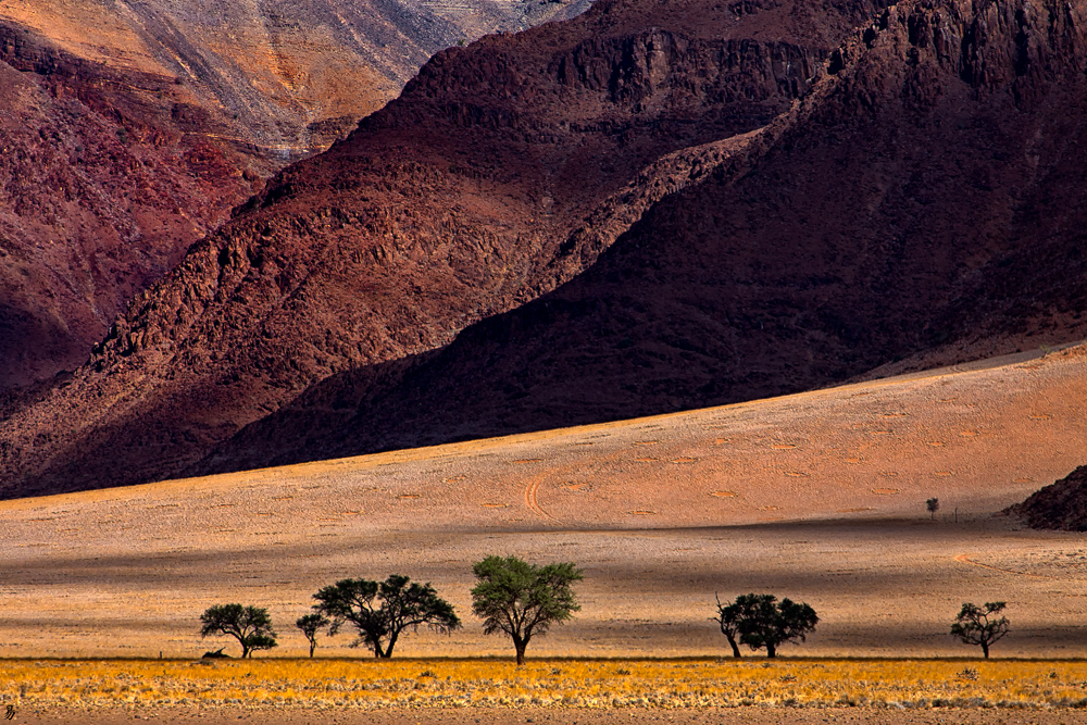 desert.colors.afrika