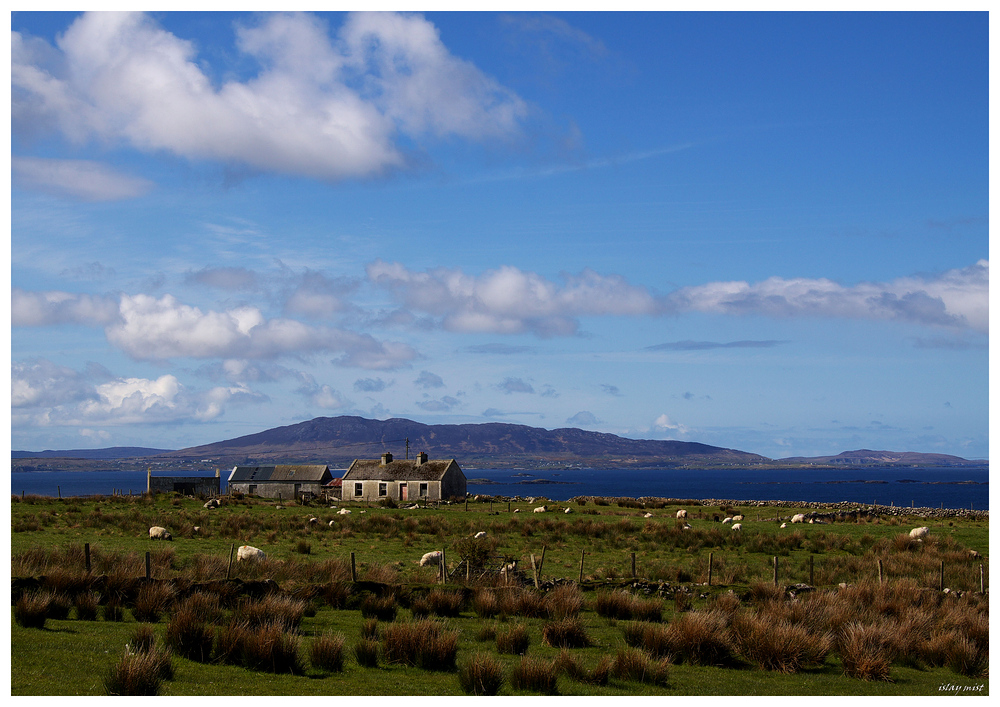 deserted cottage................