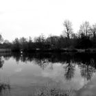 Deserted Lake