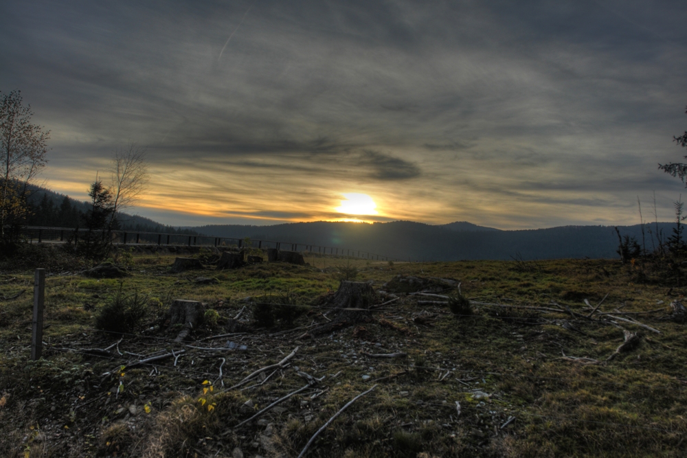 Deserted Landscape