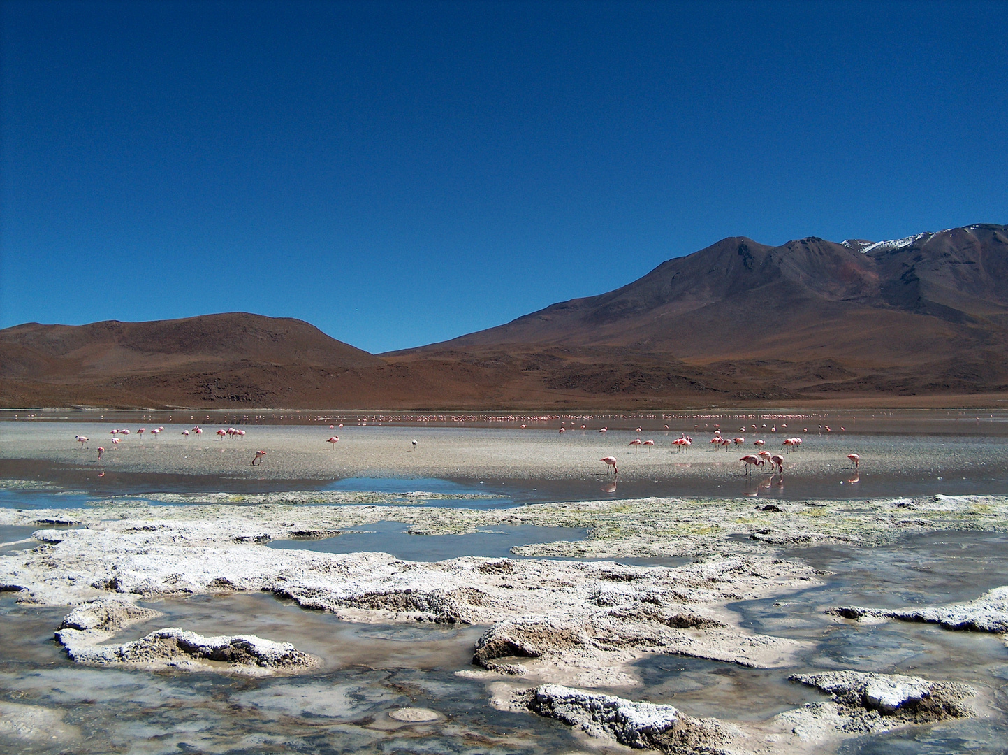 Deserti Lagune rosa