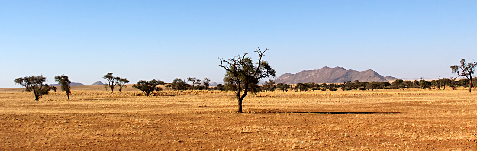 Desert_Lodge