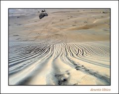 deserto