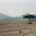 Deserto Africano