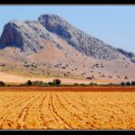 deserto andaluso