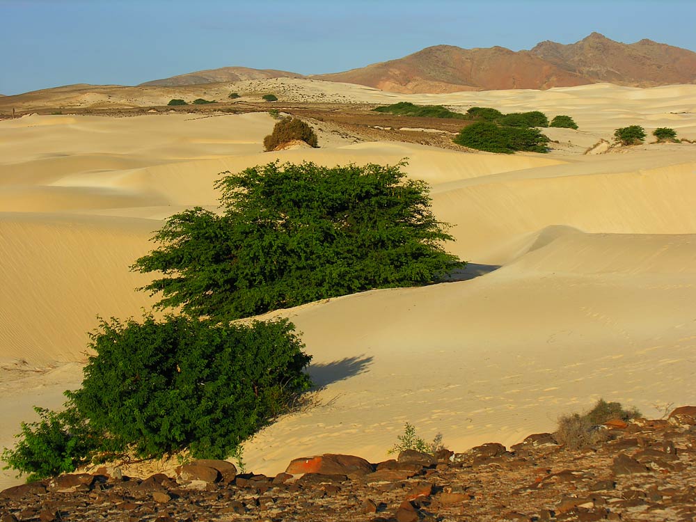 Deserto de Viana