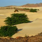 Deserto de Viana