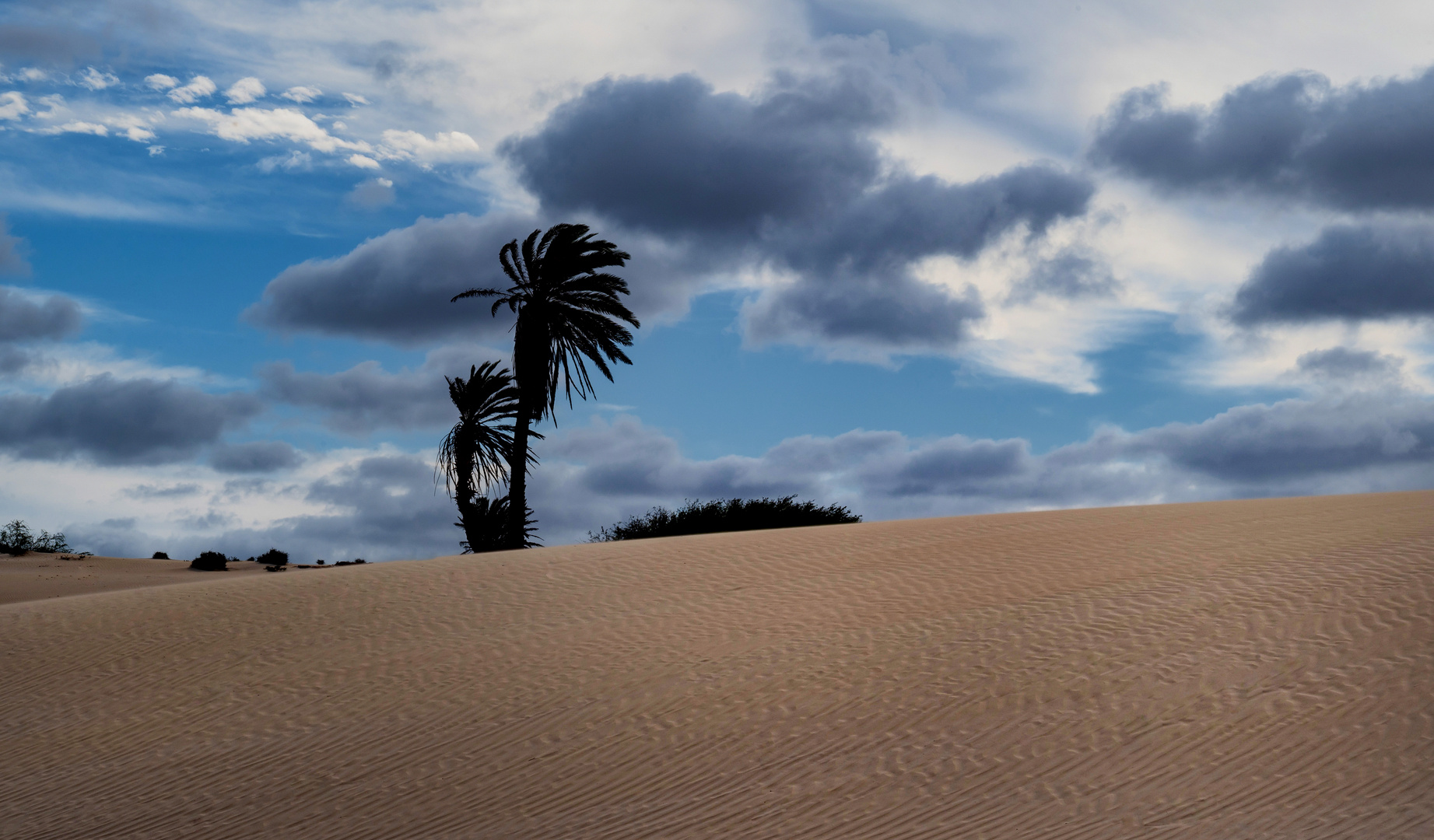 Deserto de Viana  Boa Vista