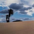 Deserto de Viana  Boa Vista