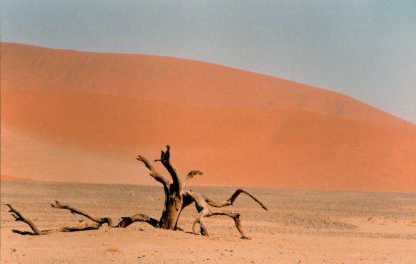 Deserto del Namib