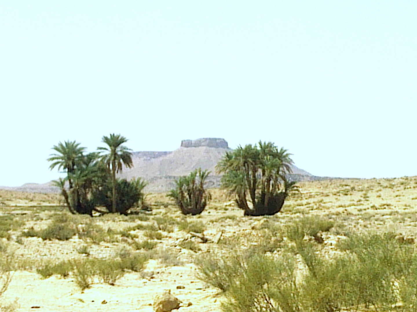 deserto del sahara.