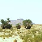 deserto del sahara.