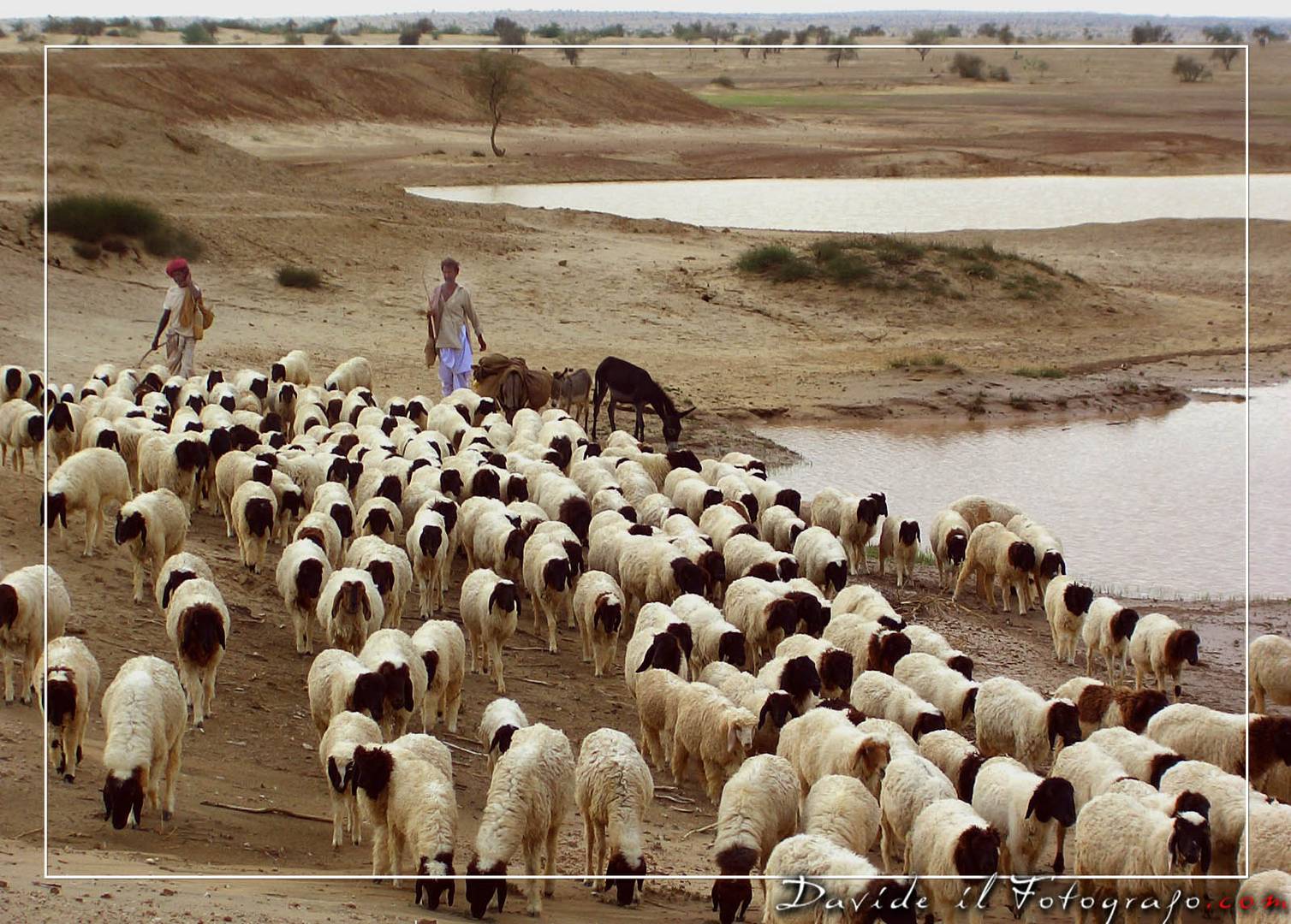 Deserto del Thar