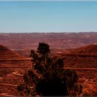 Deserto della Tunisia.