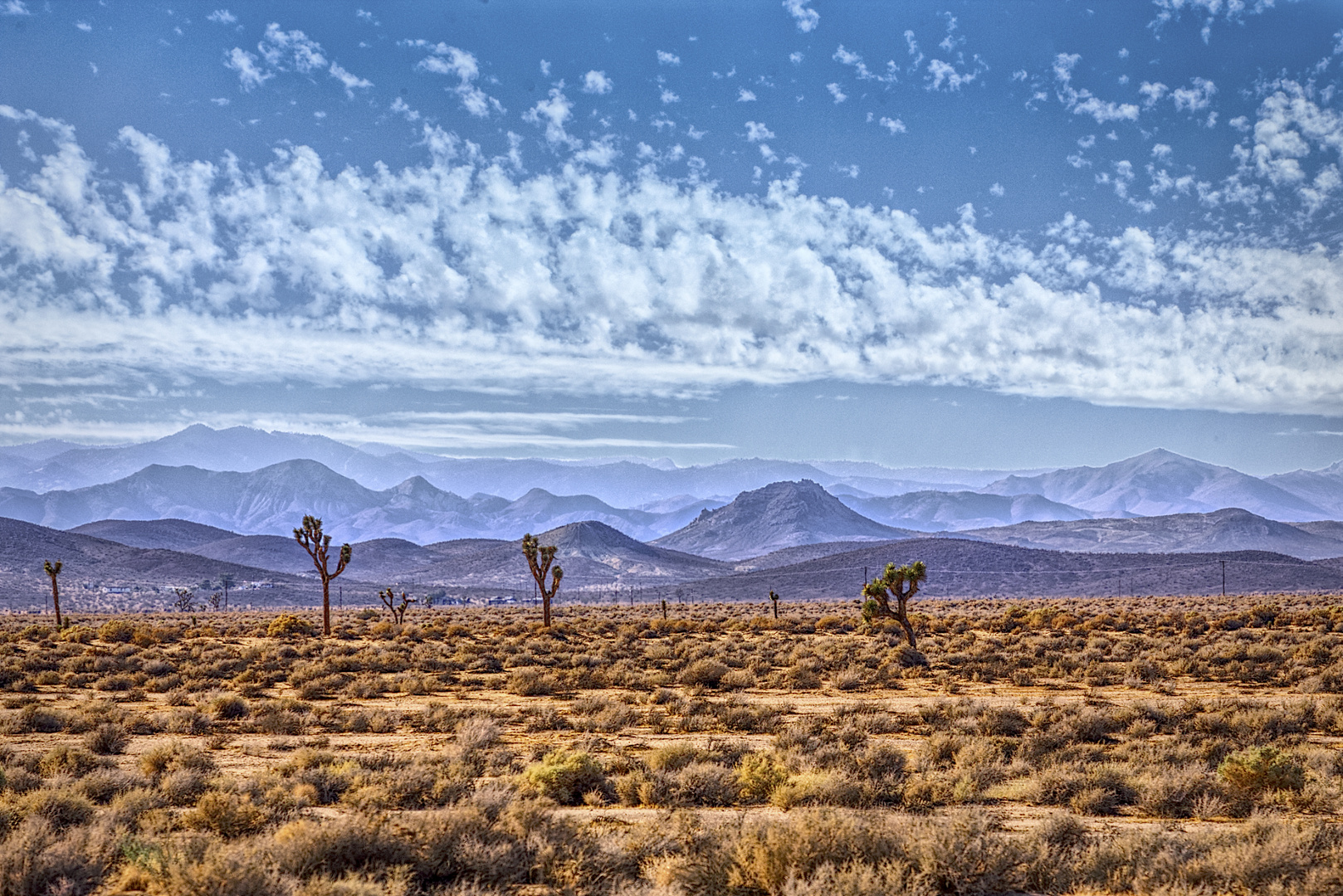 Deserto di Mojave