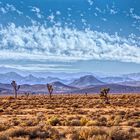 Deserto di Mojave