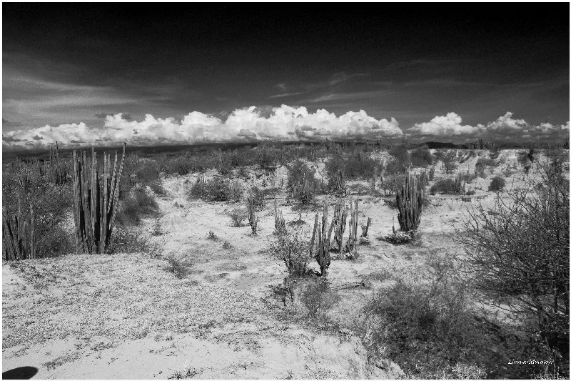 Deserto di Tatacoa - Colombia