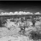 Deserto di Tatacoa - Colombia