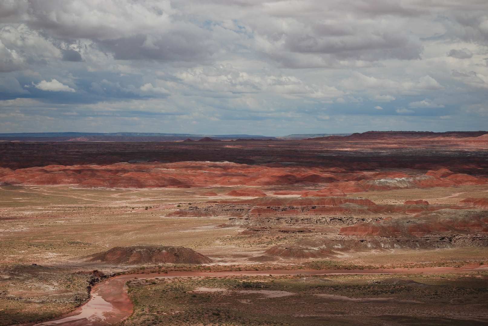 Deserto dipinto 4